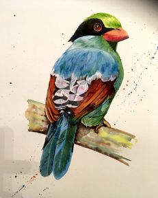 2020apr-006-laura-blight-colourful-bird