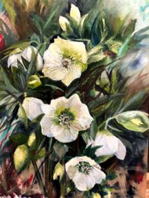 2020apr-136-fiona-white-hellebores