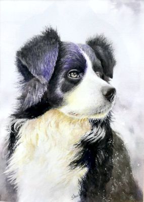 'Waiting for his Master' byShuli Han Dulley - Watercolour. 