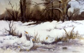 Ducks in winter by Heather Brown (Ref: 11)