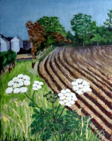 Ploughed Field by Gillian Harman (Ref: 57)