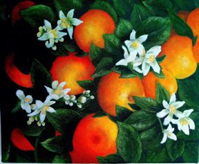 Valencia Oranges by Marian (Ref: 111)