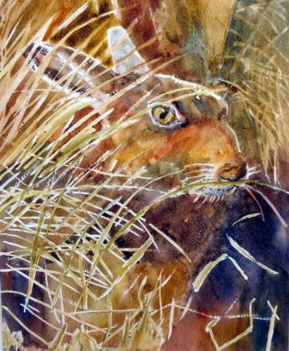 Hare - Watercolour