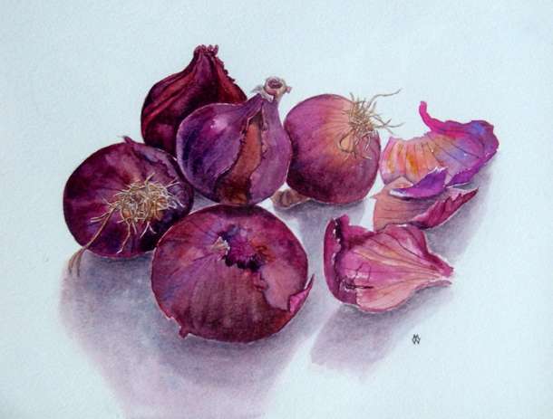 Onions - Watercolour