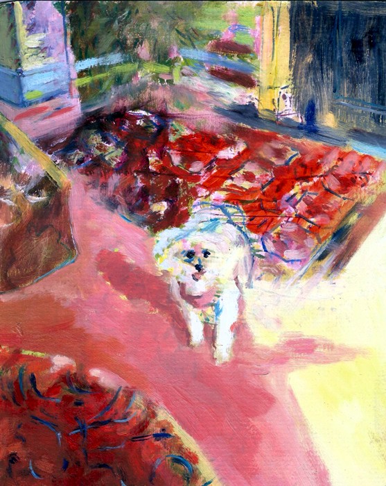 Little white dog - Oils - 21 x 24cm